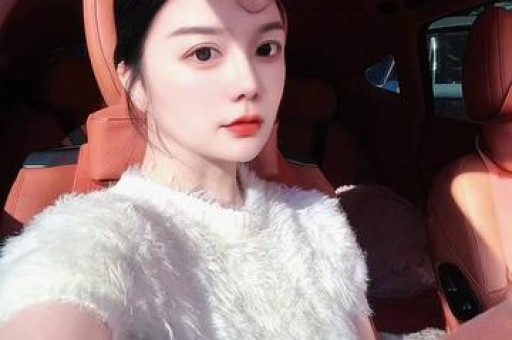 一架轻型飞机在波兰坠毁 造成两人死亡